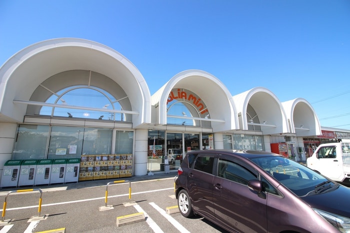 メグリアミニ(スーパー)まで260m エクセレンス上野