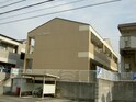 完成写真
