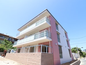 ステラ古野