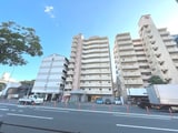 アヴィニ－ル№５
