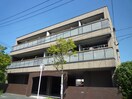 外観写真 レオン金杜