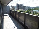 外観写真 レオン金杜
