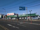エフコープ(スーパー)まで435m スタディ－ハイツ３