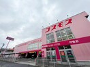 ドラッグコスモス 守恒店(ドラッグストア)まで80m ホンダクリオビル