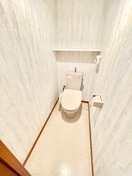 トイレ トルワドミール