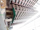 アクロス天神Vタワー（1101）の外観