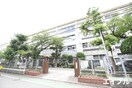 西花畑小学校(小学校)まで841m 京地ビル