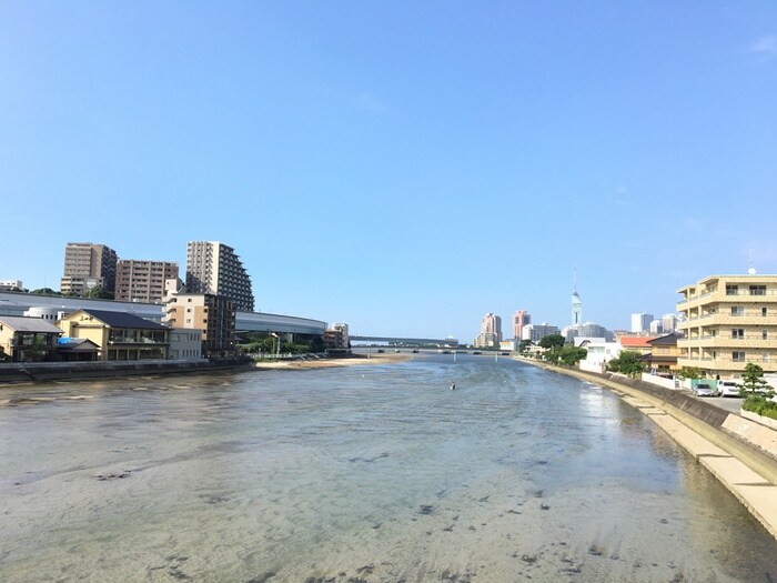 公園(公園)まで400m パール岡本ビル