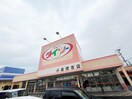 ザ・ダイソー小倉徳吉店(100均)まで290m グリーンゲーブルズＣ棟