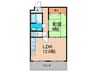 大丸マンション 1LDKの間取り