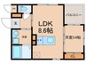 ﾘｱﾝﾚｶﾞｰﾛ平尾ｽﾃｰｼｮﾝⅣ 1LDKの間取り