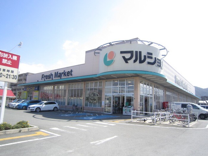 マルショク今宿店(スーパー)まで173m イエローコートヨコハマＣ棟