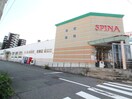 スピナ紅梅店(スーパー)まで130m ハラケン八千代町101貸家