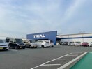 トライアル小竹店(コンビニ)まで1040m カーサアゼリア　A棟