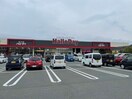 ハローデイ穂波店(スーパー)まで857m ディアス楽市Ｂ