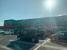ディスカウントドラッグコスモス穂波店(ドラッグストア)まで1008m ディアス楽市Ｂ