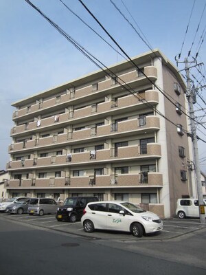 サンヒルズ花畑