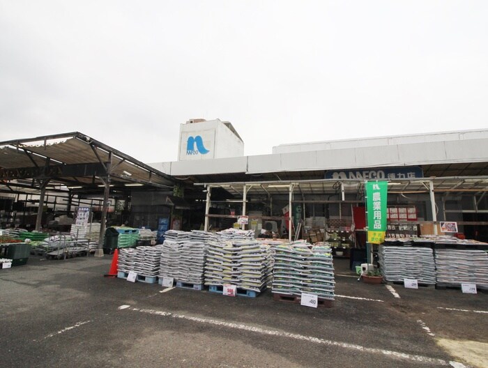 ホームプラザナフコ徳力店(電気量販店/ホームセンター)まで300m シャトレＭＩＫＩ