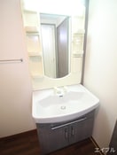 洗面 ロイヤルパレス