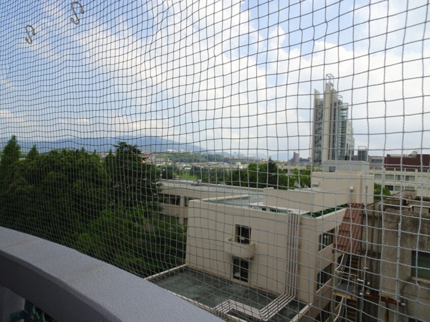 室内からの展望 ロイヤルパレス