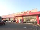 ﾃﾞｨｽｶｳﾝﾄﾄﾞﾗｯｸﾞｺｽﾓｽ北方店(ドラッグストア)まで650m ロイヤルパレス