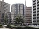 エンクレスト大橋(1103)の外観