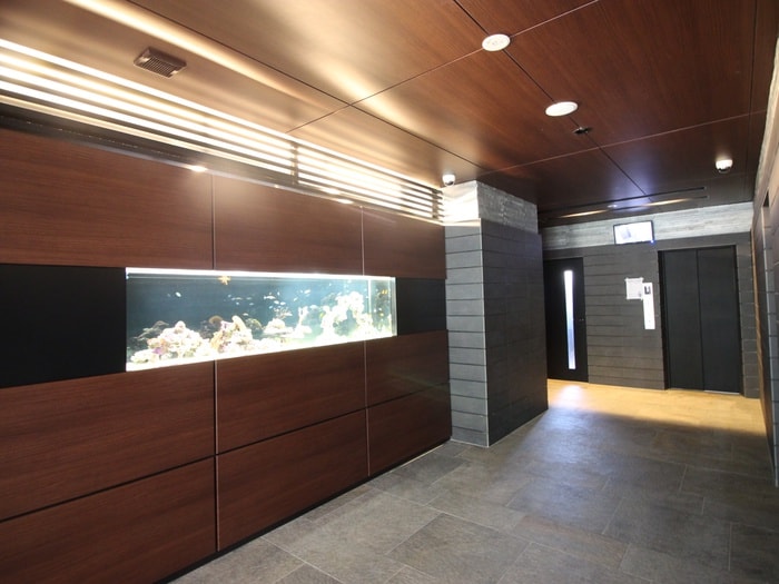 エントランス部分 ｸﾞﾗﾝﾌｫｰﾚ箱崎ﾌﾟﾚﾐｱ（1005）