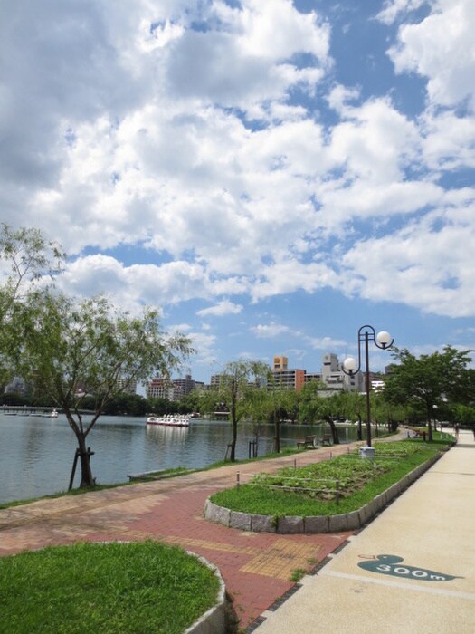 大濠公園(公園)まで110m シュロスブルーメ大濠