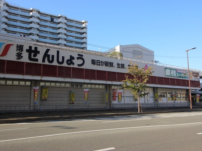 業務スーパーせんしょう千代町店(スーパー)まで190m ダイナコ－ト千代県庁口(903)