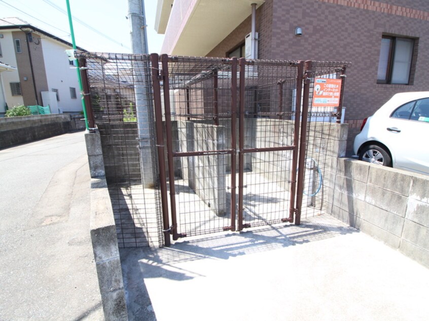 その他 マリーゴールド