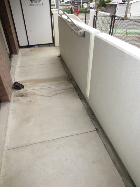 ベランダ・バルコニー マリーゴールド