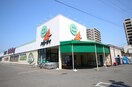 ハローデイ若松店(スーパー)まで3700m エレガンスヒル