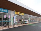 マツモトキヨシレガネットガーデン福津店(ドラッグストア)まで650m フィオーレ・Ｋ