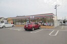 セブンイレブン　下和白店(コンビニ)まで800m ソレアード藤田