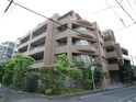 完成写真
