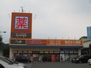 新生堂(ドラッグストア)まで400m ドミ－ル二日市