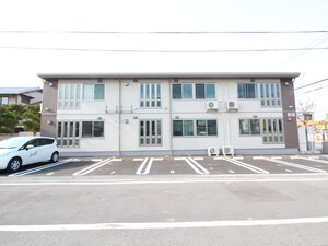 椿