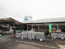 ナフコ徳力店(電気量販店/ホームセンター)まで400m ディアコート守恒