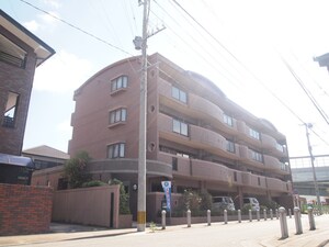 アレグリーア　K＆M