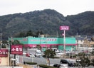 コスモスにれの木店(ドラッグストア)まで1100m クラ－ジュＣ