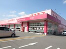 コスモス(ドラッグストア)まで201m ティ－ダ安在野