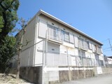 ﾄﾐｰﾊｲﾂ