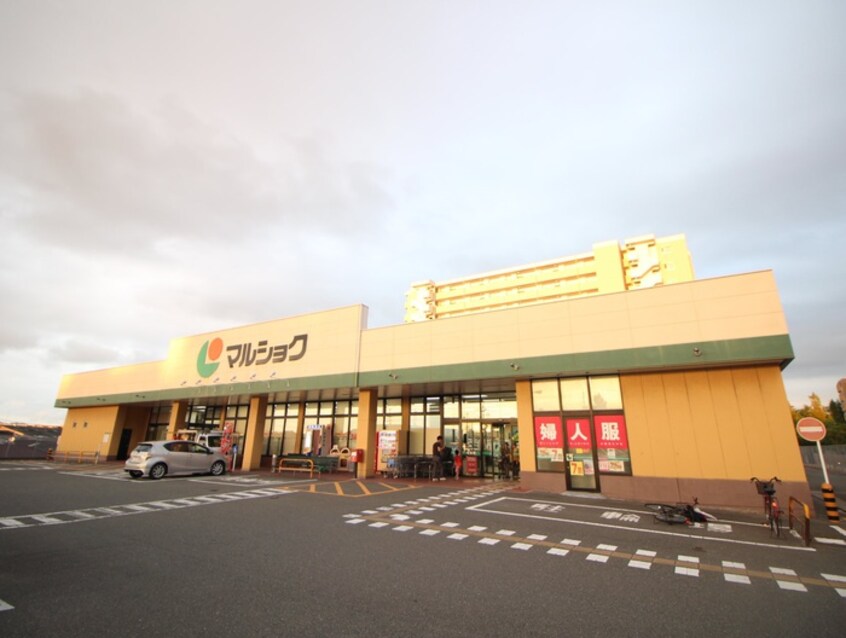 マルショク空港東店(スーパー)まで269m ネストピア福岡空港駅前（201）
