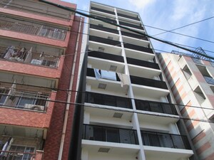 エンクレスト白金（903）