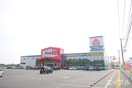 ヤマダ電機(電気量販店/ホームセンター)まで4000m グレイス　カトレア