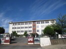 前原南小学校(小学校)まで310m セルディア