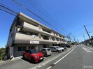 サンカープ花立花の外観