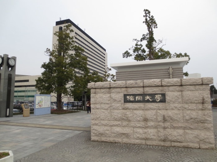 福岡大学(大学/短大/専門学校)まで540m リンデンホーフ