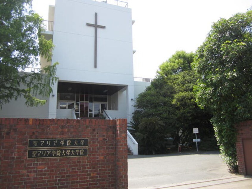 聖マリア学院大学(大学/短大/専門学校)まで456m ミルーム津福