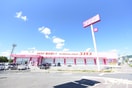 ドラッグストアコスモス国分店(ドラッグストア)まで500m フリーデン国分